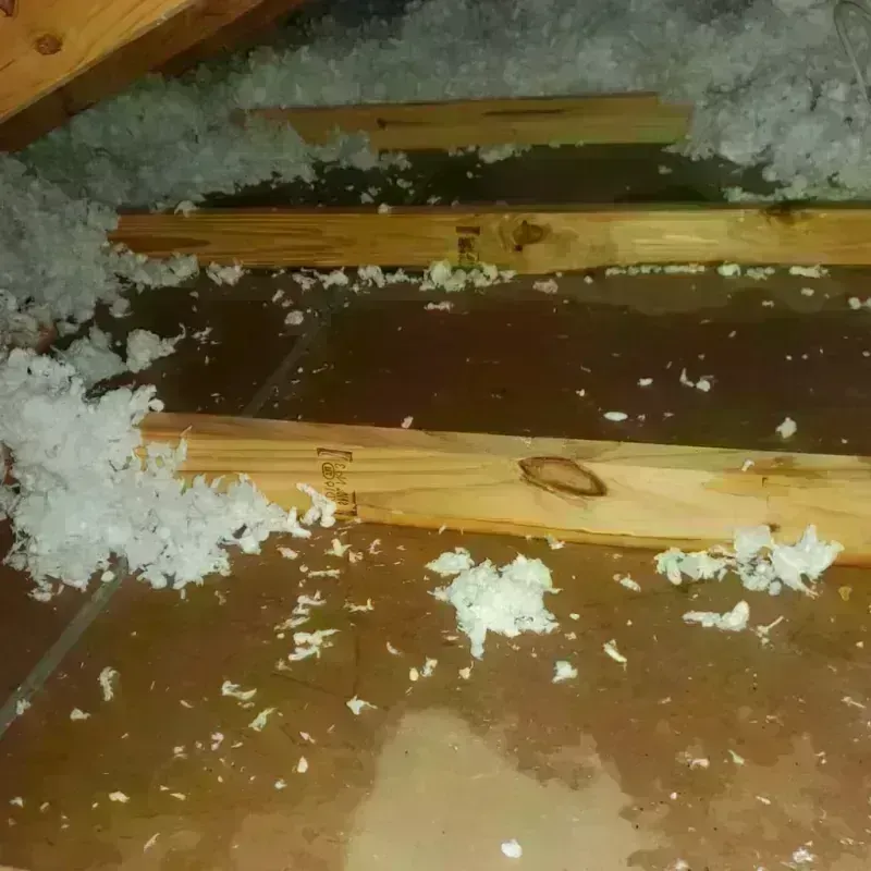 Attic Water Damage in Washington County, OR