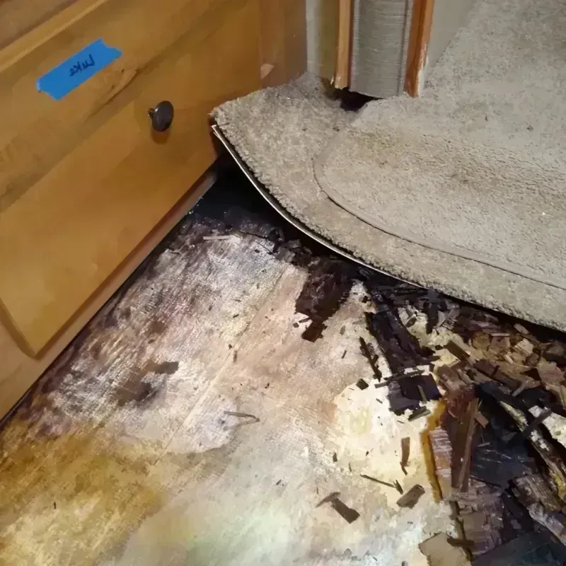 Best Wood Floor Water Damage Service in Washington County, OR